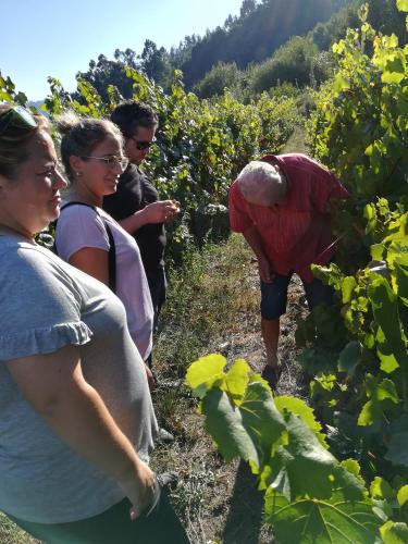 Quinta de Santa Marinha