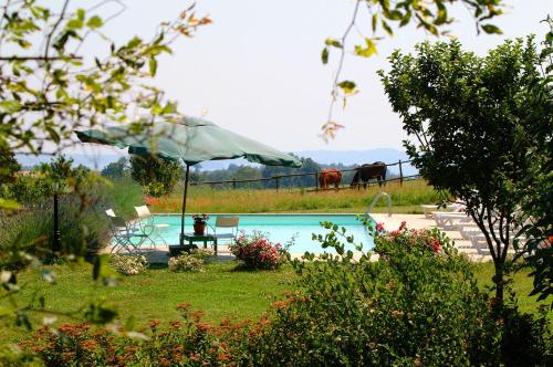 Casale sovrastante il lago-Collina Blu