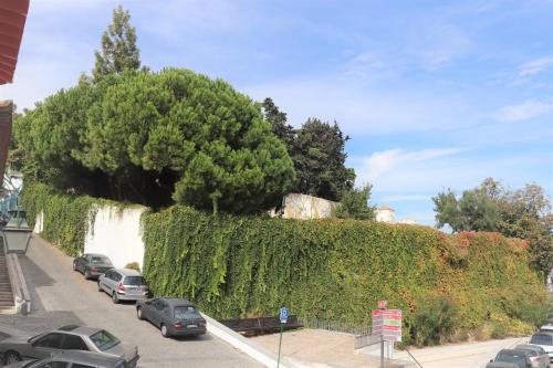 Casa Gil Vicente 4