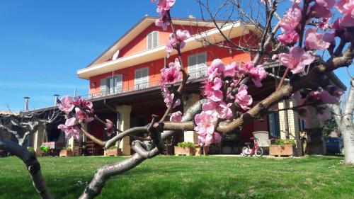 Agriturismo Rosso di Sera - Hotel - Cugnoli