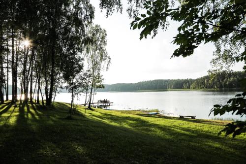 pludmale, Asvejos slenis in Sužionys