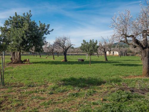  Holiday Home Can Toni i Monica by Interhome in Lloseta