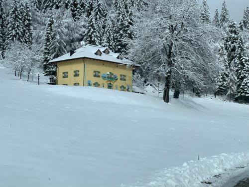 Chalet Musiera - Accommodation - Castrozzi