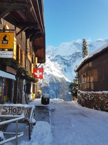 Pension Gimmelwald in Gimmelwald, Schweiz