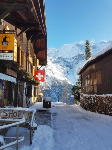 Accommodation in Gimmelwald