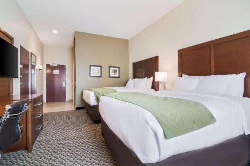 Comfort Inn & Suites - image 3