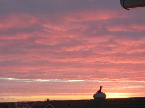 The Sparrow's Nest Beach-Front Self-catering The Sparrow's Nest Beach-Front Self-catering