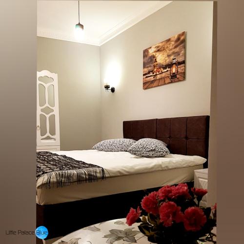 Little Palace Blue Apartment – Istanbul, FL