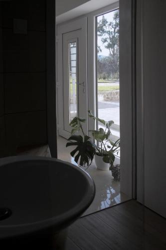 Deluxe Apartments Panorama