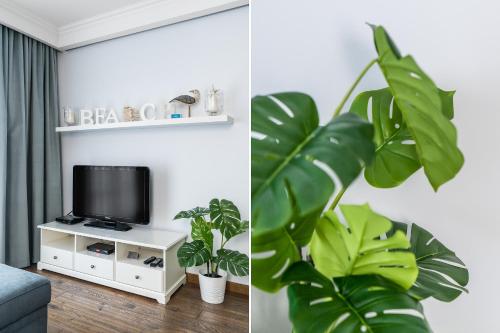 Sanhaus Apartments - Apartamenty Capri - image 10