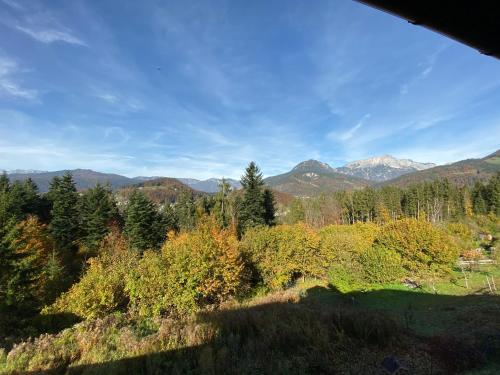 FeWo Waldkauz - main image