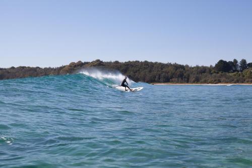 Programlehetőségek, The Seabird in Moruya
