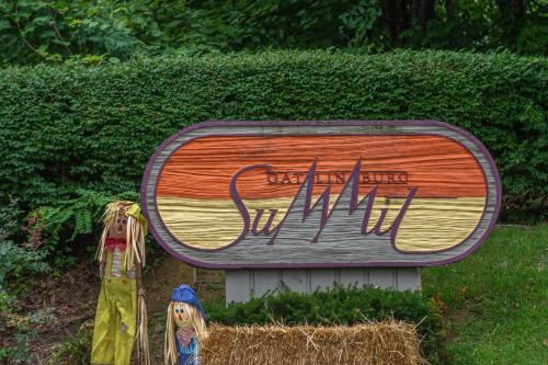 Summit View Condos - image 10