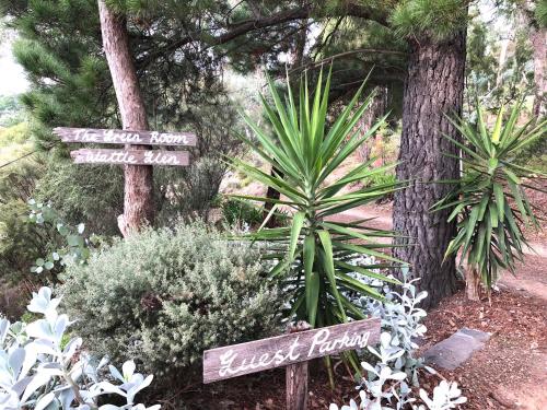 The Green Room Wattle Glen