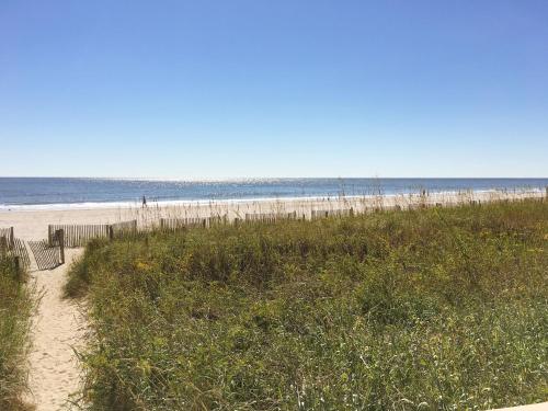 New Listing! Beachfront Resort with Epic Amenities condo - image 8