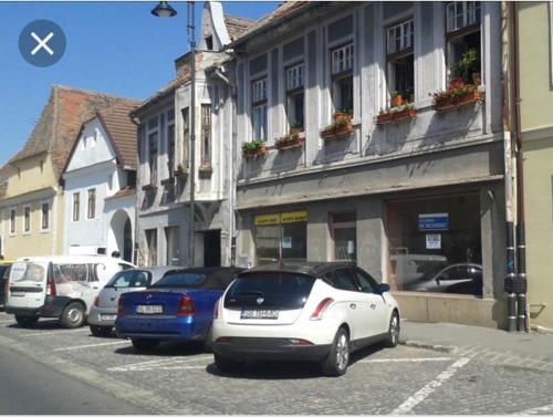 Weiss- Old Town Deluxe Apartment - image 8