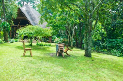 Výhled, Kibale Forest Camp by NATURE LODGES LTD in Kyenjojo