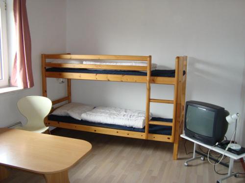 Grindsted Aktiv Camping & Cottages - image 10
