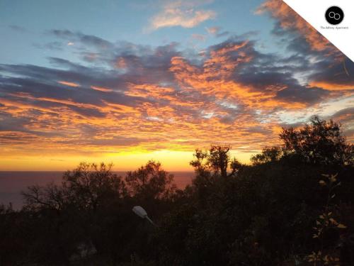  The Infinity Apartment in Pelekas