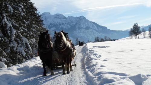 Ferienwohnung Alpenstern