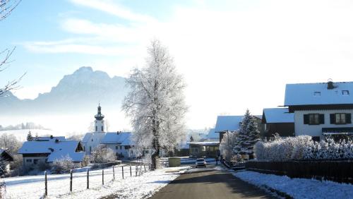 A környék, Ferienwohnung Alpenstern in Rieden am Forggensee