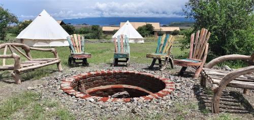 Africa Safari Lake Natron