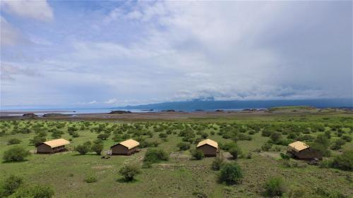 Africa Safari Lake Natron