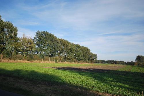 Ferienwohnung Am Moor, 35629