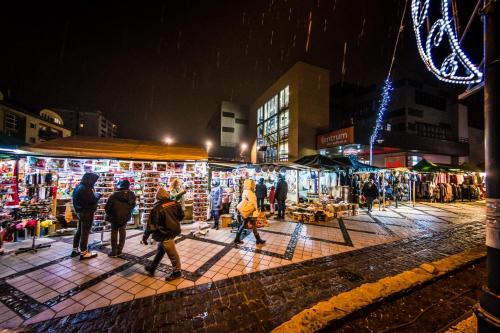 Central Home- Pesterzsébet - image 13