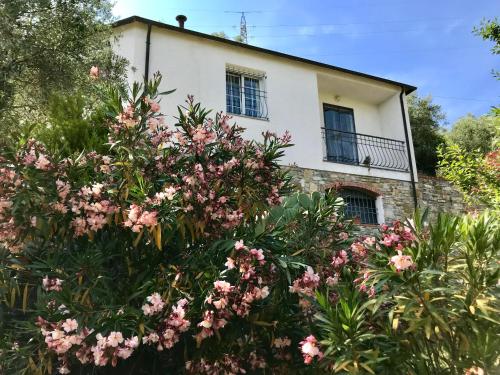  Casa Mediterraneo in Diano San Pietro