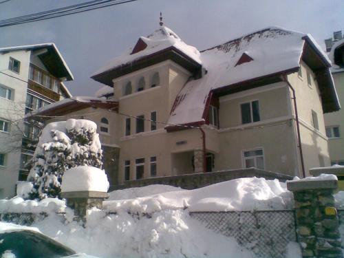 Vila Coca - image 7