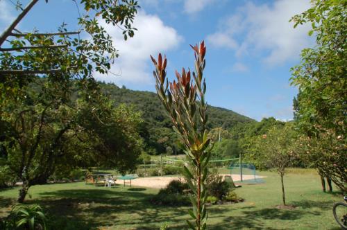 Fairy Knowe Backpackers Lodge – Wilderness, MO