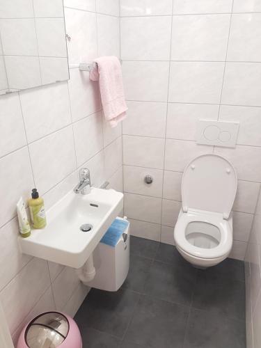 Friendly Hostel Zürich in Zürich, Schweiz