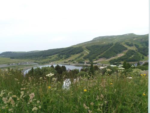 Gergovia - image 9
