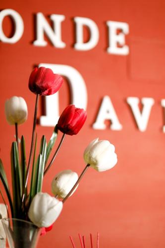 Hostal Conde David - image 13