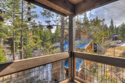 Silver Tree Sanctuary - image 2