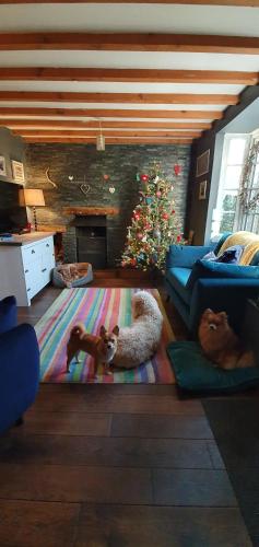 Dog Lovers Paradise Cottage Stay