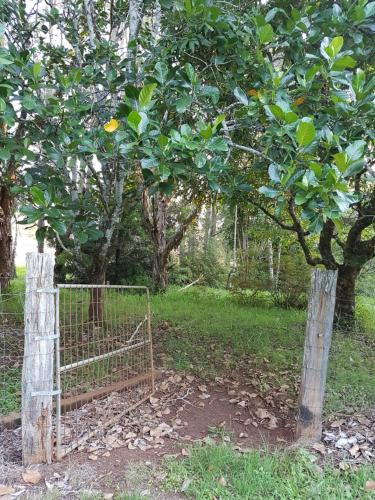 Freida - Historic Farmhouse Bellingen