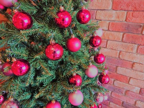 白燭葵膳食公寓酒店