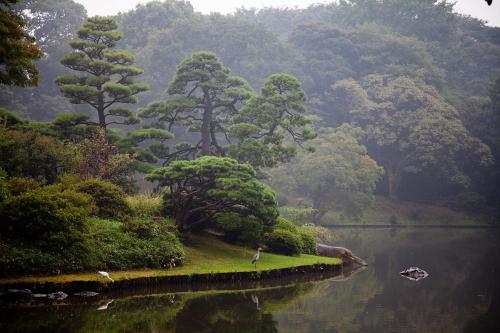 TORA HOTEL Tokyo-Rikugienn 寅ホテル 六義園 D