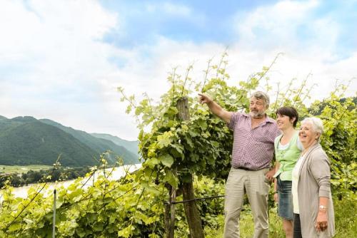 Weingut und Ferienwohnung Pomaßl - image 2