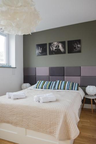 Willow Pillow Nowowiejska Room Type - Apartment