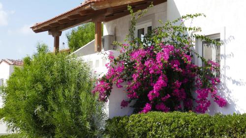 Balcony/terrace, Castri Village in Itanos