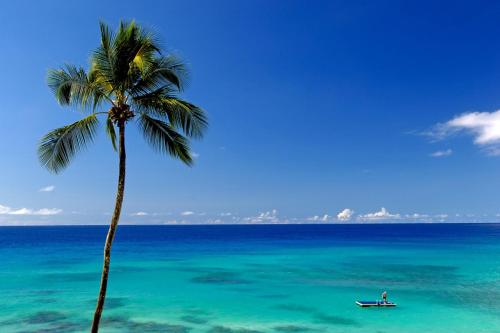 Cobblers Cove - Barbados