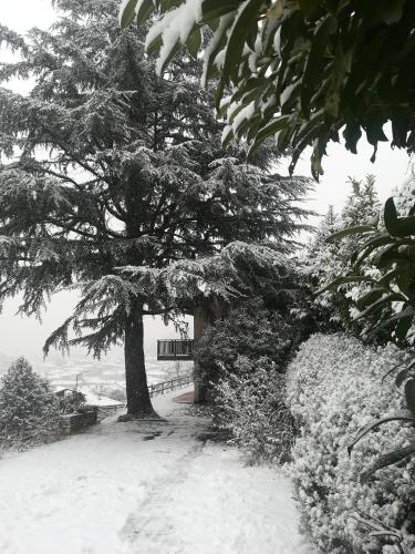 DOLCE DORMIRE, Rovereto (fotografie 7)