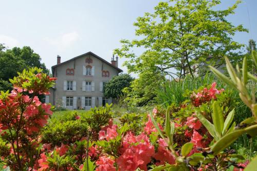 Le Clos de la Muse - Accommodation - Saint-Junien