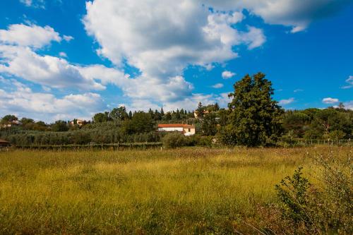 AGRITURISMO TERRE DI LEONARDO
