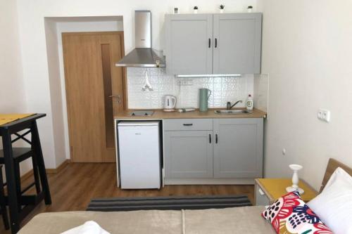 Bright apartment on Zizkov, 7 min to the center