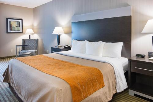 Comfort Inn Camden - image 2