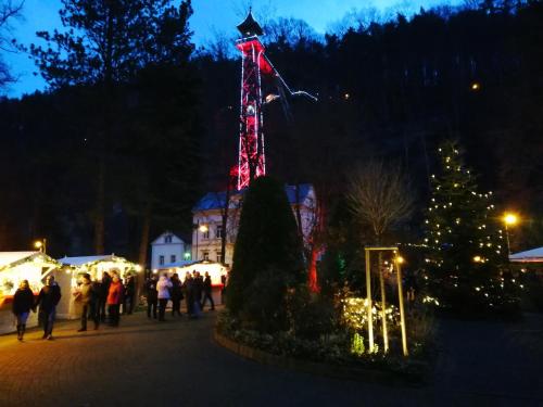 Parkhotel Bad Schandau - direkt an der Elbe – Bad Schandau, MA